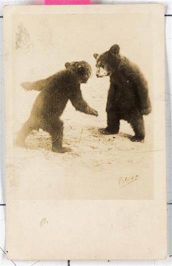 (ALASKA) Group of approximately 55 photographs of Alaska at the height of the gold-rush era, from the late 19th to the early 20th centu